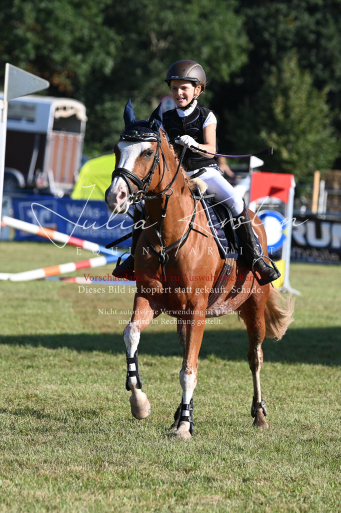 DSC_4956 | Pferde- und Turnierfotografie in Westsachsen. Pferdeportraits, Auftragszeichnungen und intuitive Kunst.