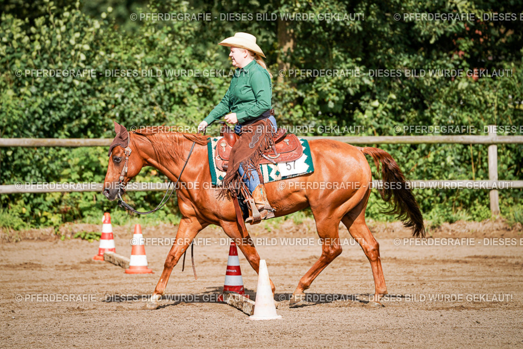 DSC00129 | Pferdegrafie