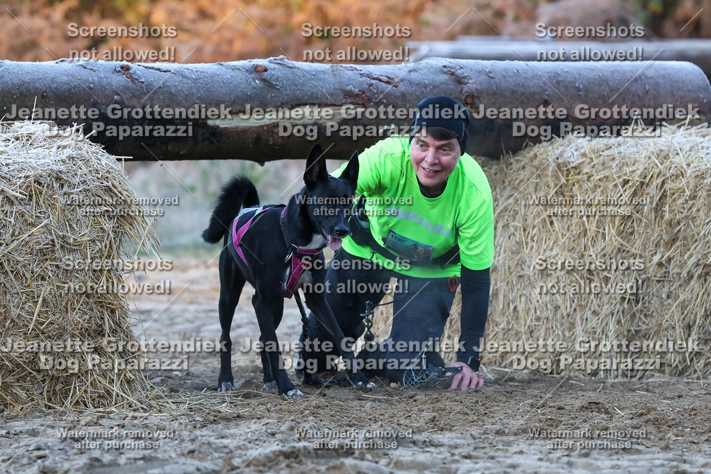 Dog Paparazzi - Strongdog 10-25-379 | Dog Paparazzi Jeanette Grottendiek Fotografie & Videografie - Realisiert mit Pictrs.com