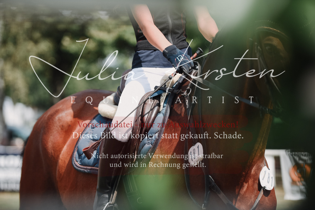 DSC_5707 | Pferde- und Turnierfotografie in Westsachsen. Pferdeportraits, Auftragszeichnungen und intuitive Kunst.