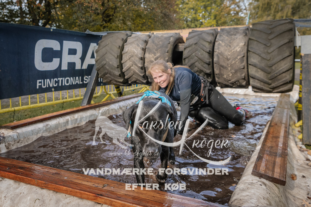 1422_ZZ94386 | kk-dogfotos