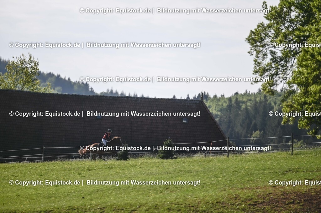 20250517_CCI2_Gelände_0277 | Foto: Thomas Hartig