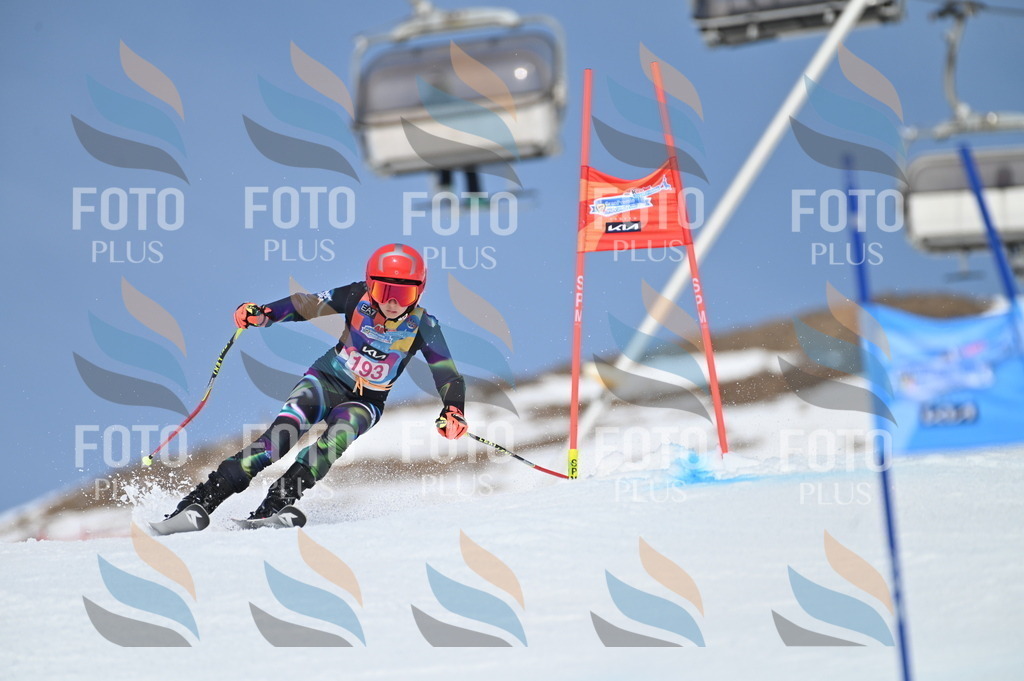 BGV_0851 | holidayphoto