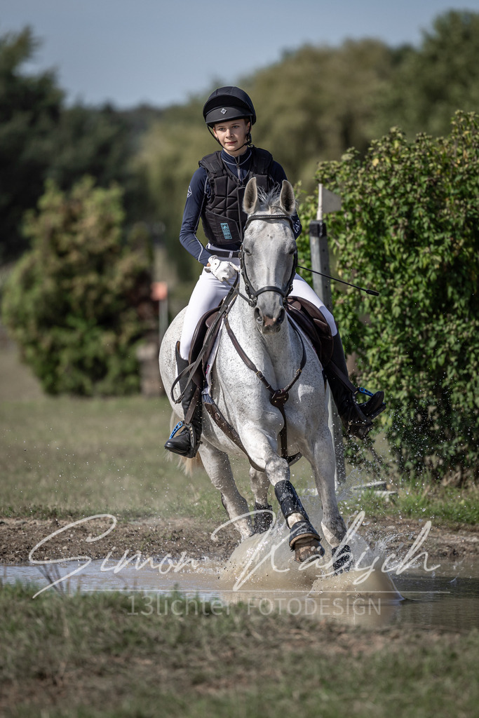 20250907-_3LI9624 | Tierfotografie Pferde, Hunde, Katzen, Haustiere.
Turnierfotografie Reitturniere, Reiten, Springreiten, Dressur in Hanau, dem Main-Kinzig-Kreis und dem Rhein-Main- Gebiet um Frankfurt
