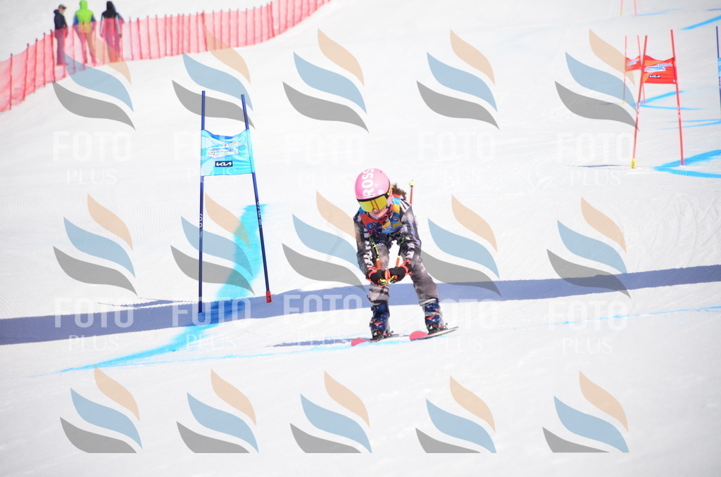 VR4_9502 | holidayphoto