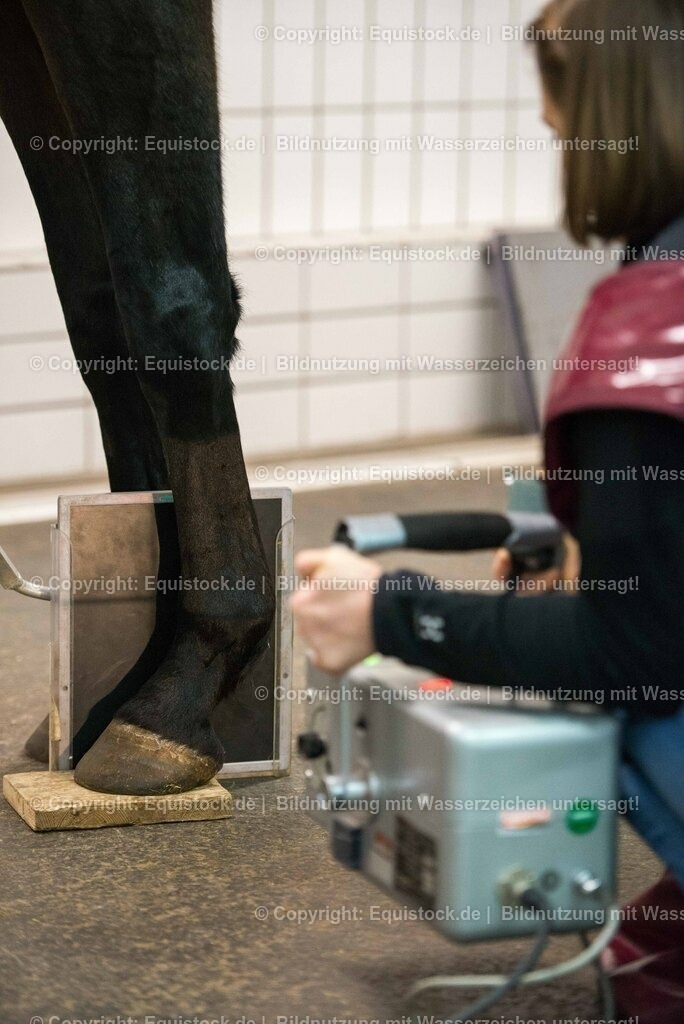 20170113_R__ntgen_0020 | Foto: Thomas Hartig