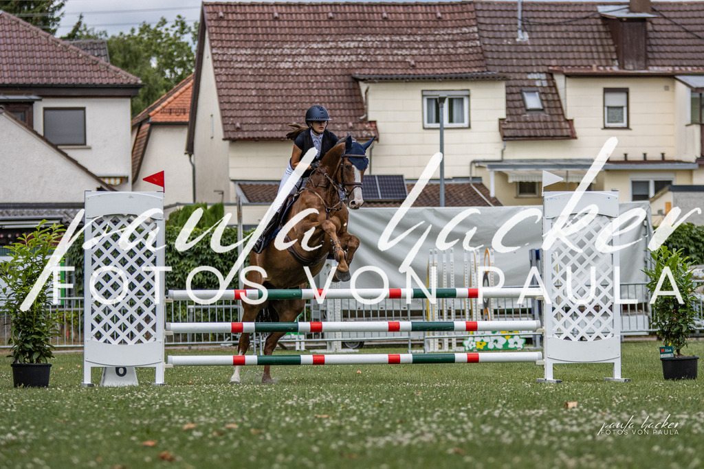 IMG_7450 | Erleben Sie dynamische Sport- und emotionale Tierfotografie in Süddeutschland mit Fotos von Paula. Spezialisiert auf Pferde- und Hundefotografie sowie Sportevents. Kontaktieren Sie mich für einzigartige und ausdrucksstarke Bilder Ihrer besonderen Momente.