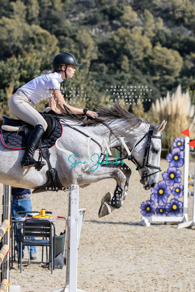 IMG_0614 | s-jay-photography - Realisiert mit Pictrs.com