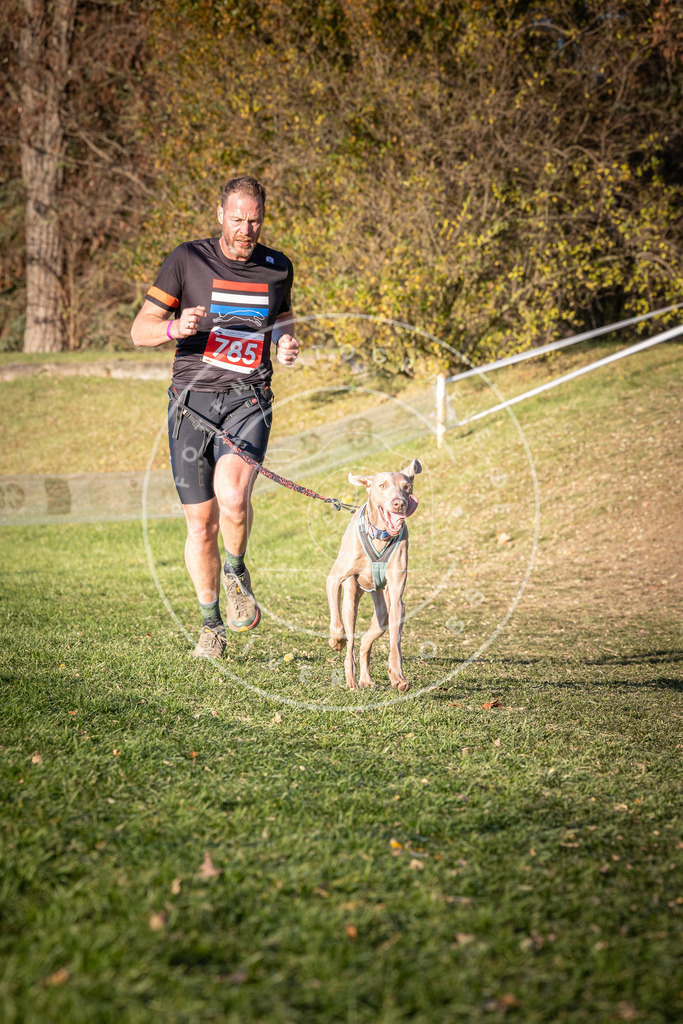 CaniXpix_0L8A0294 | Hundefotografie, Tierfotograf, Pfotenfotografie, Fotoshooting Hund, Hunde Portrait, Hundesport, Hundeportraits, Heideshooting, Hunde, Sportfotograf, Hundefotograf, Turnierhundsport, THS,  - Realisiert mit Pictrs.com