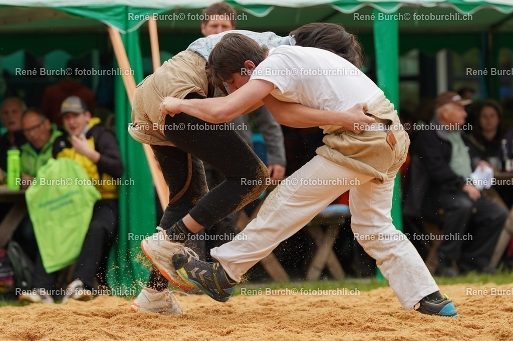 20220424-DSC09637 | René Burch leidenschaftlicher Fotograf aus Kerns in Obwalden.  Hier finden sie Sport, Landschaft und Natur Fotografie.
 - Realisiert mit Pictrs.com