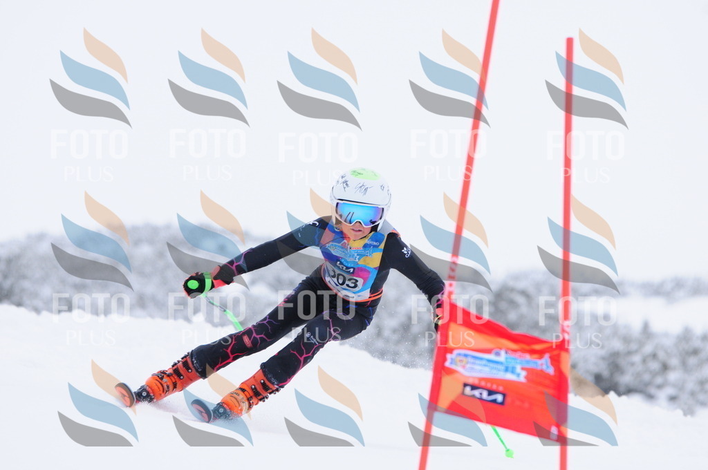 C3211 | holidayphoto