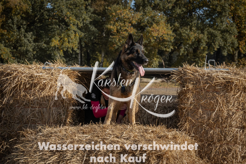 1049_ZZ99338 | kk-dogfotos