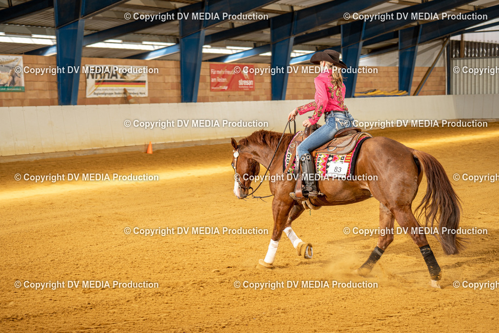 MIT00890 | dv-media-shop - Realisiert mit Pictrs.com