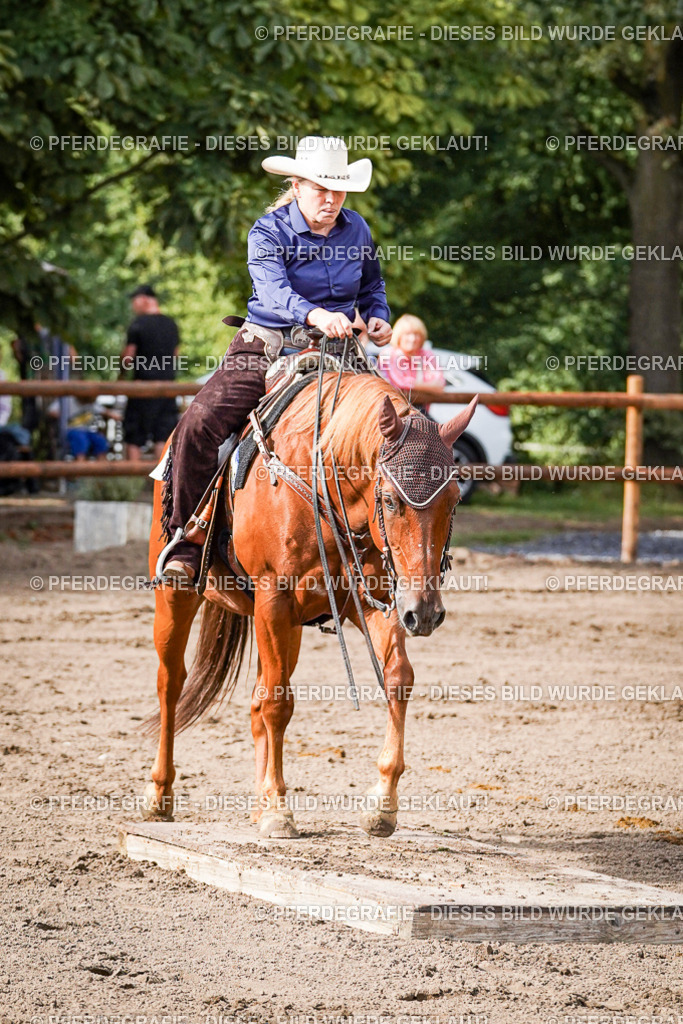 DSC00302 | Pferdegrafie