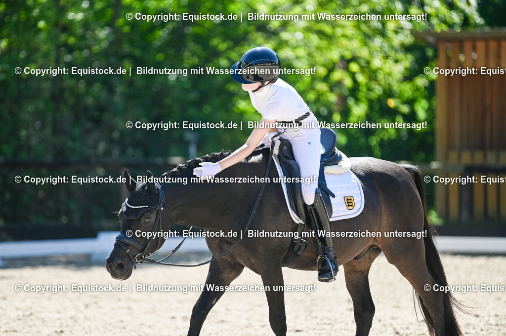 20230908_06_Dressur-L-Trense_0627 | equistock