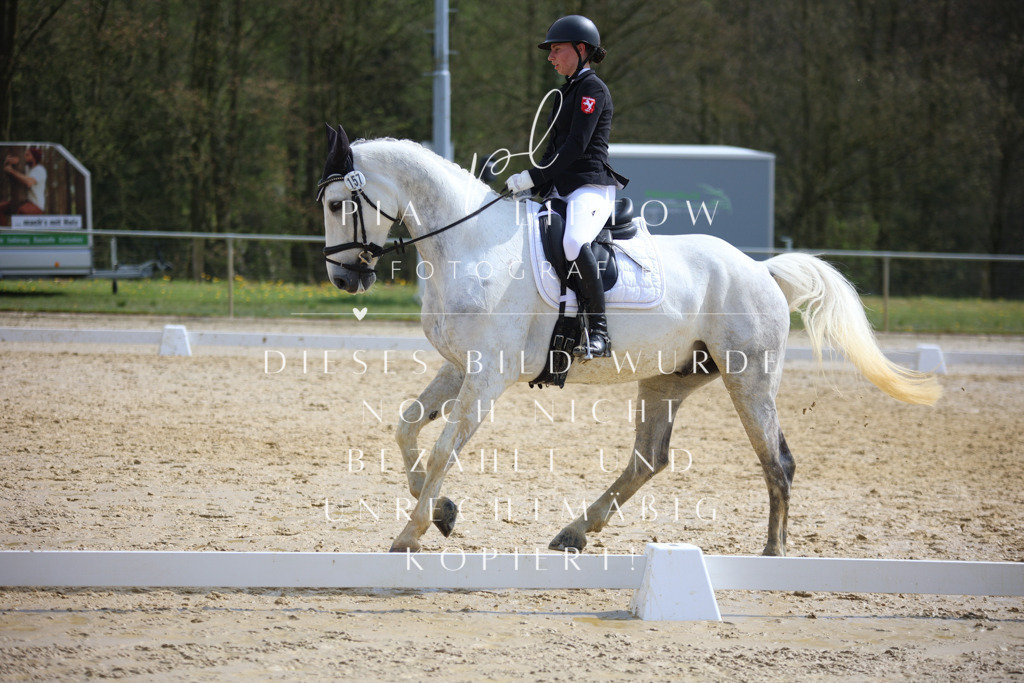 IMGT4841 | pl-fotografie