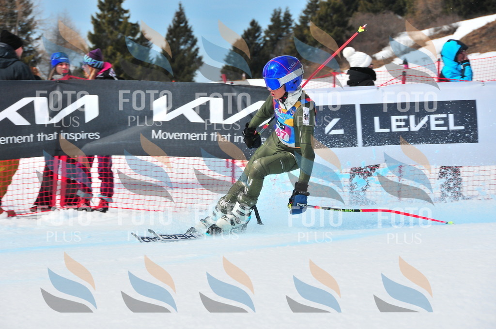 DSC_5535 | holidayphoto