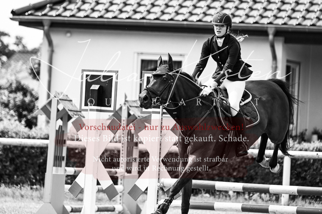 DSC_9037 | Pferde- und Turnierfotografie in Westsachsen. Pferdeportraits, Auftragszeichnungen und intuitive Kunst.
