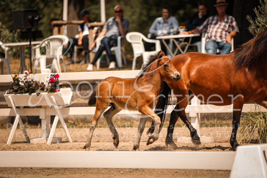 02.DoSR00124 | Leoni Ertmer Photography - Realisiert mit Pictrs.com