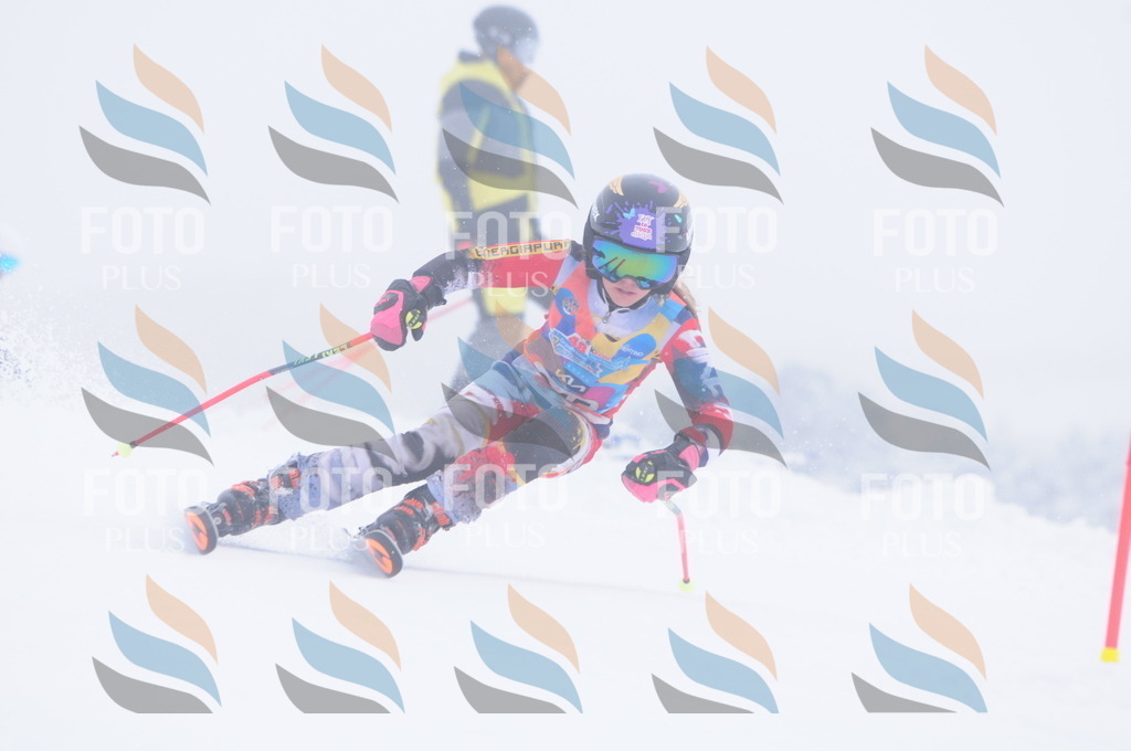 C2566 | holidayphoto