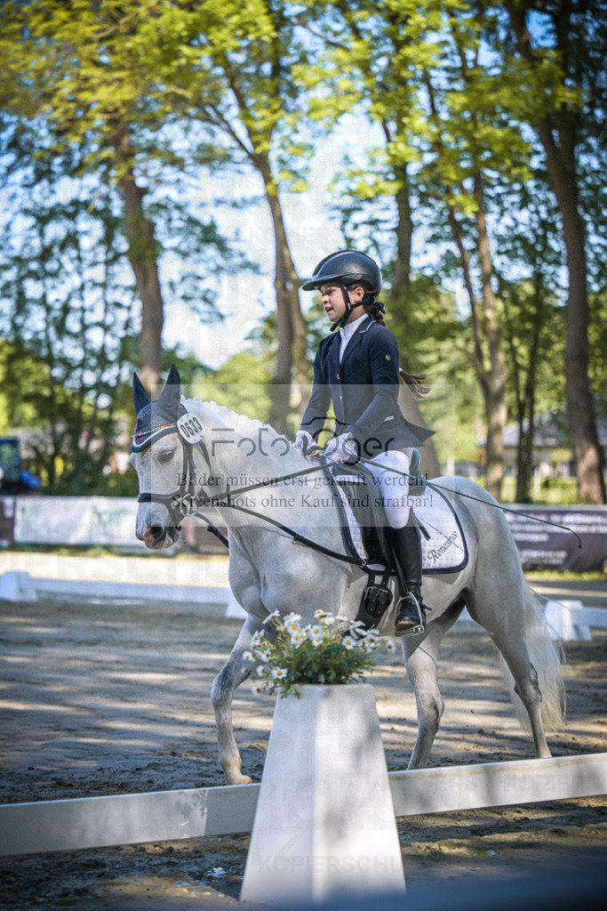 DOS_3882 | Entdecke hochwertige Reitturnierfotos von Foto Oger. Professionell, emotional und authentisch – jetzt Lieblingsmomente im Shop bestellen.Deutschlandweite Turnierfotografie. - Realisiert mit Pictrs.com