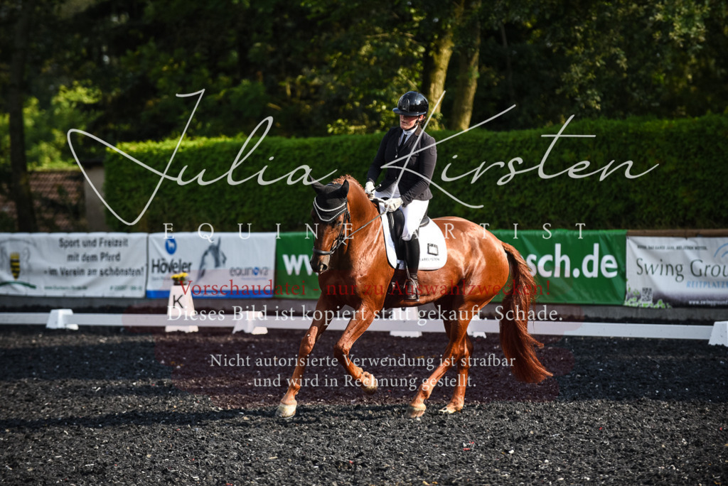 DSC_3271 | Pferde- und Turnierfotografie in Westsachsen. Pferdeportraits, Auftragszeichnungen und intuitive Kunst.
