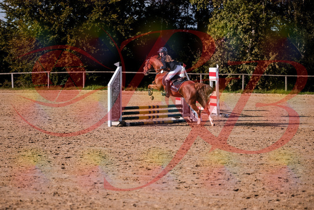 2026_10_03_Siefer-Hof_155744_Z81_77191785 | Professionelle Reitsport-, Turnier- und Eventfotografie von Robert Broda. Galerien mit ausgewählten und bearbeiteten Bildern direkt online ansehen und bestellen.