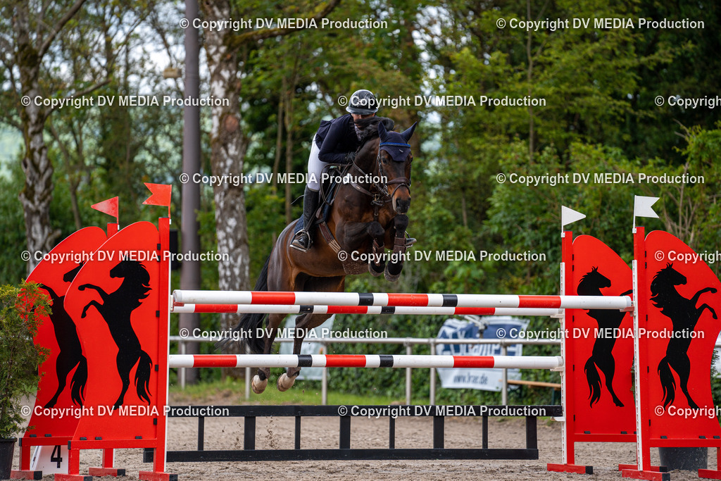 Eppelheim Tag 1-283 | dv-media-shop - Realisiert mit Pictrs.com