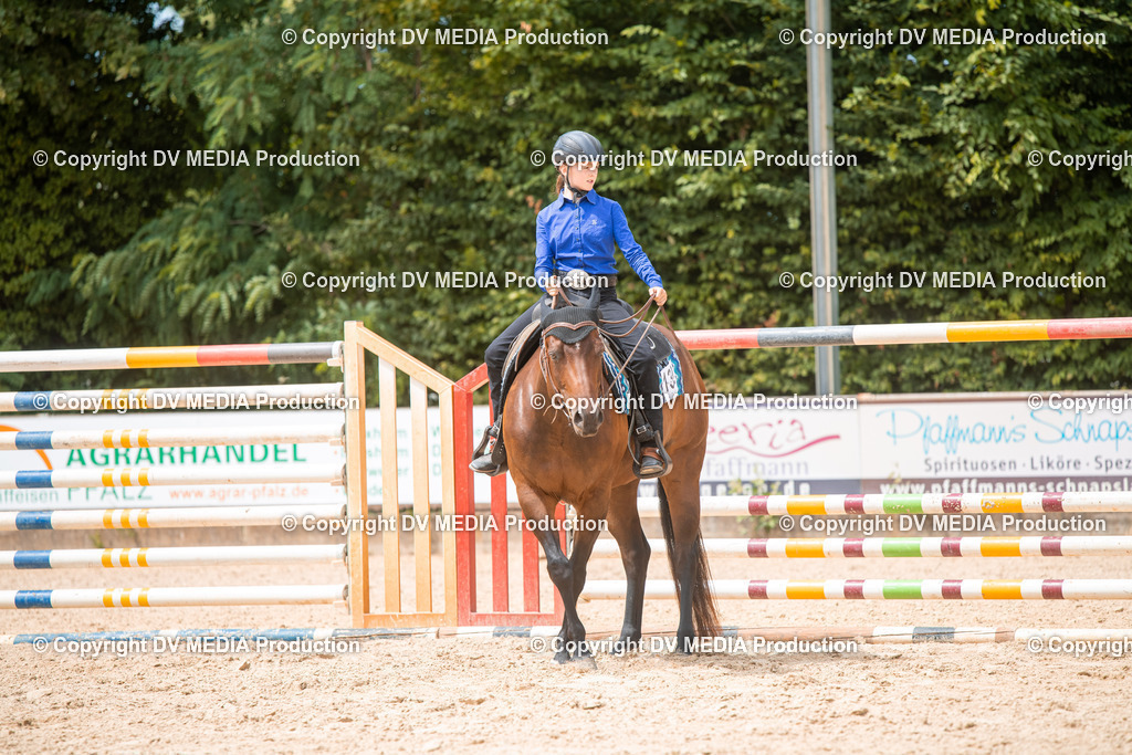 EWP_6585 | dv-media-shop - Realisiert mit Pictrs.com