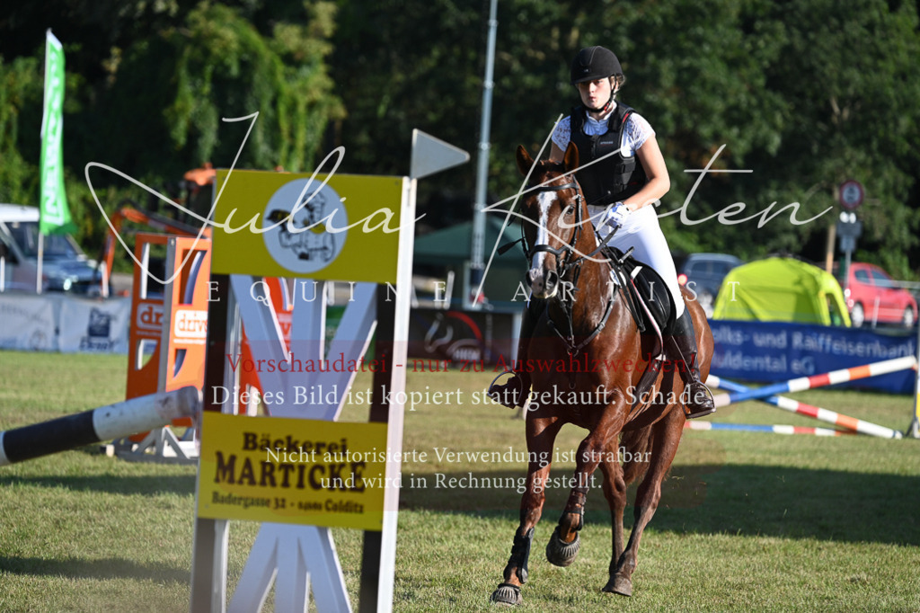 DSC_4701 | Pferde- und Turnierfotografie in Westsachsen. Pferdeportraits, Auftragszeichnungen und intuitive Kunst.