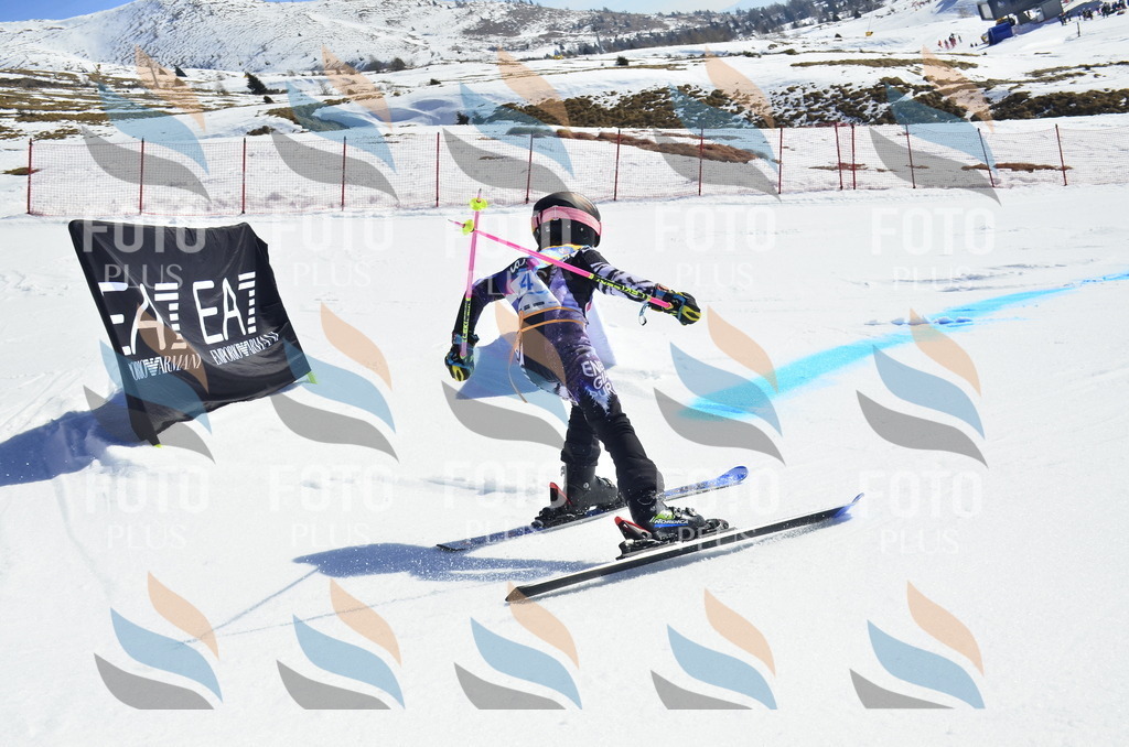 _ELE9820 | holidayphoto