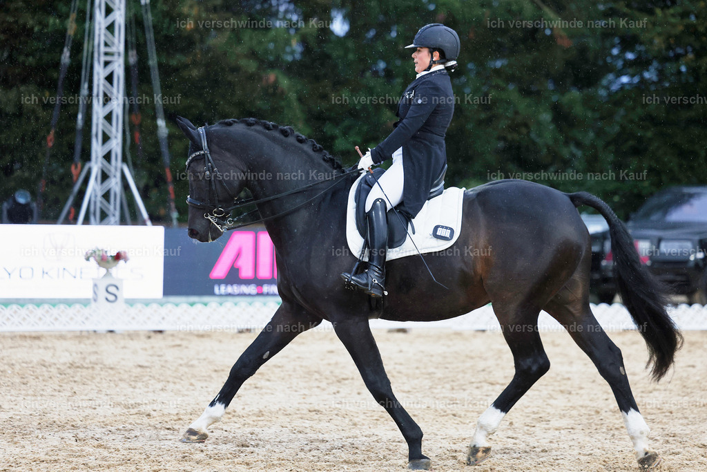 8_2-183-DRESSUR S_  -StoibPH-4556 | working equitationturnier fotograf videograf stoibphotography marixx film working equitation deutschland reitsport turnierfotografie eventfotografie equestrian events