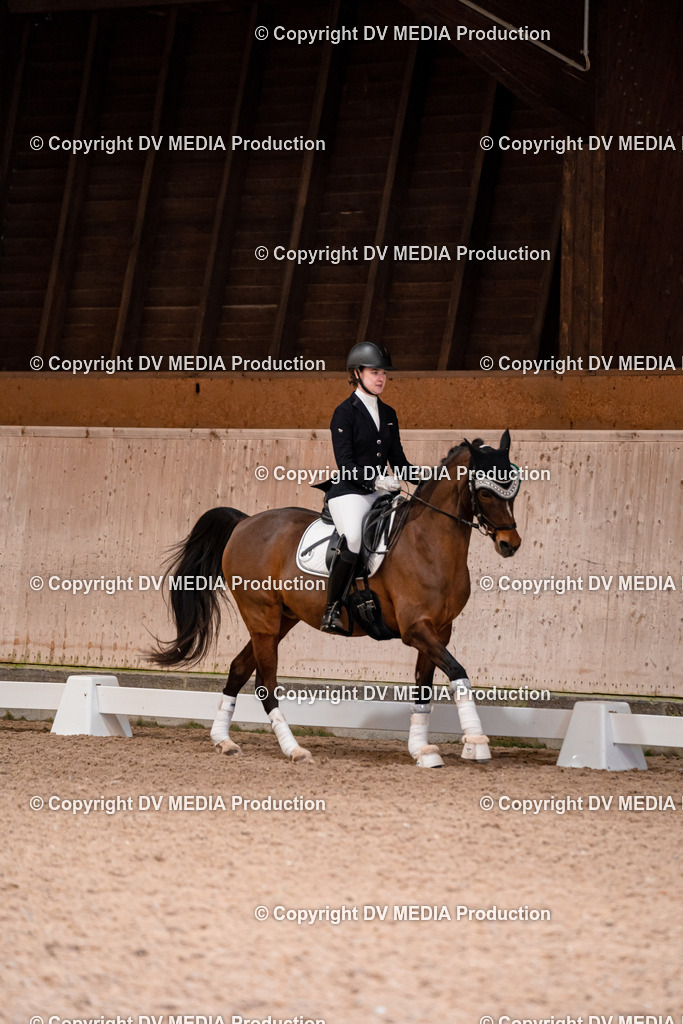 Dressur Tag 2-086 | dv-media-shop - Realisiert mit Pictrs.com