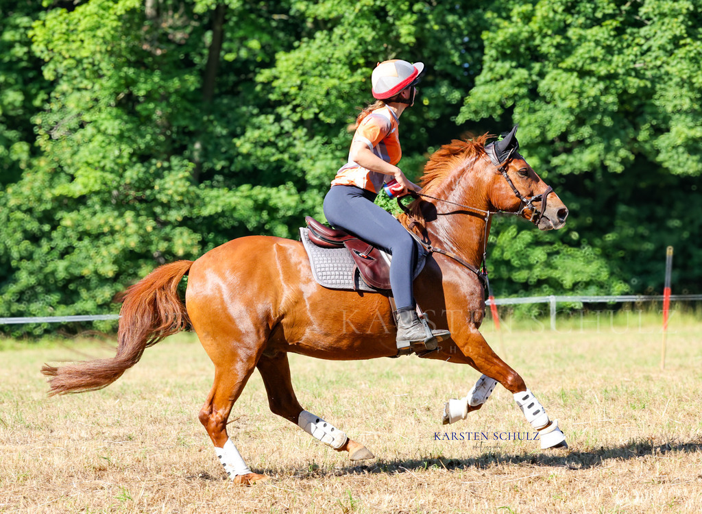 1B3A8185 | Reitsport Reiten