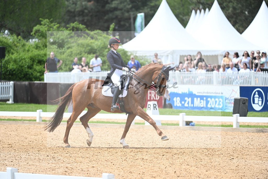 Baer_Superstar_11233747 | hf-fotografie - Realisiert mit Pictrs.com