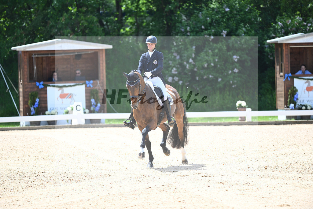 Bacher_Amonitas_12244004 | hf-fotografie - Realisiert mit Pictrs.com