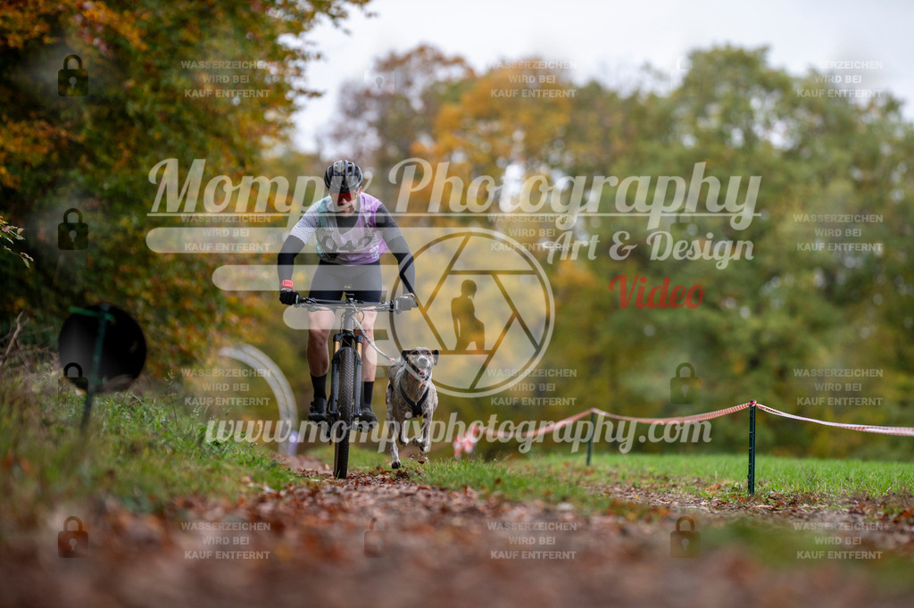 DBT_DAKM_SA_4_11_2023_Bike-4 | PayLife