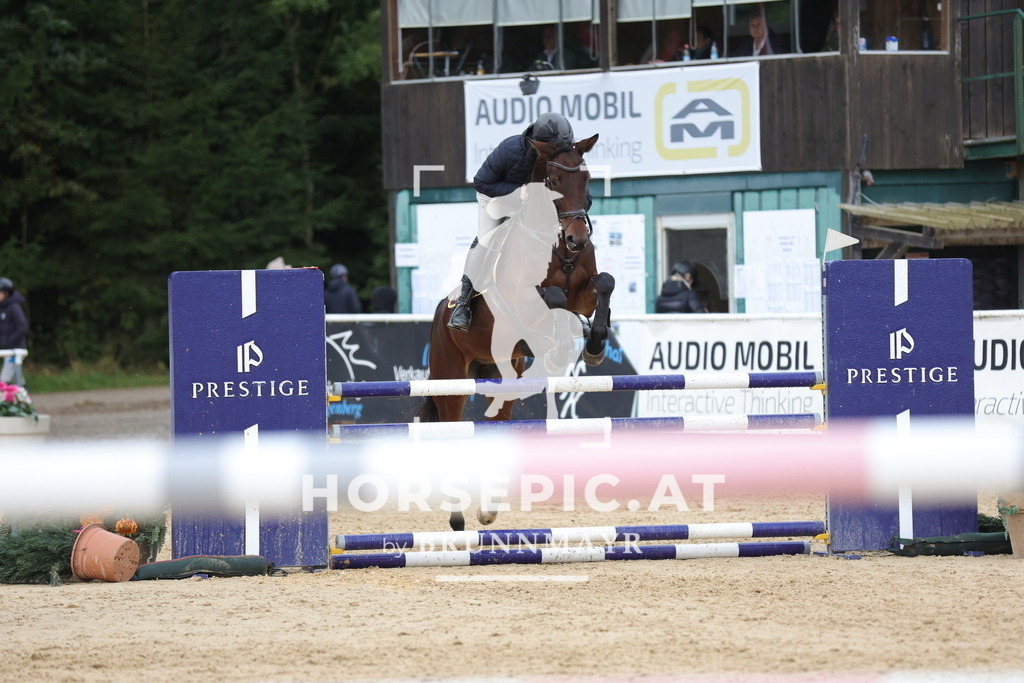 0P6A7911 | Willkommen bei Brunnmayr - Design & Fotografie – Ihrem Spezialisten für Reitturniere und Pferdeveranstaltungen in Oberösterreich, Salzburg und Bayern! Seit über 17 Jahren sind wir leidenschaftlich dabei.
