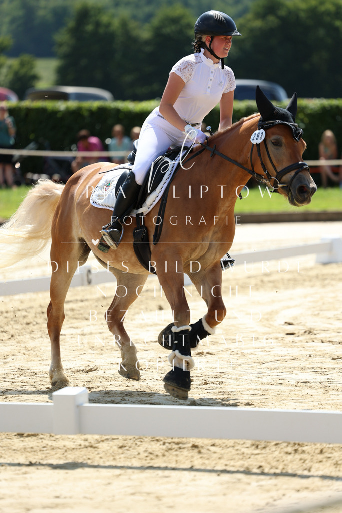 IMGM0686 | pl-fotografie