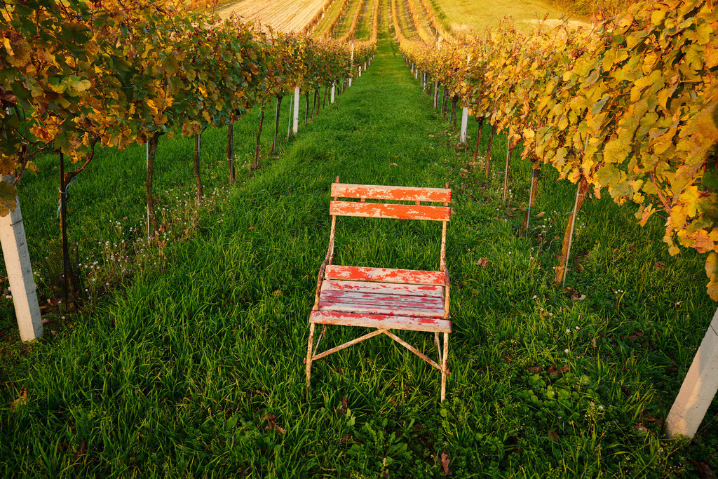 roter Sessel im Weingarten | Pillichsdorf, Austria - October 19, 2014: roter Sessel im Weingarten stehend. - Realisiert mit Pictrs.com