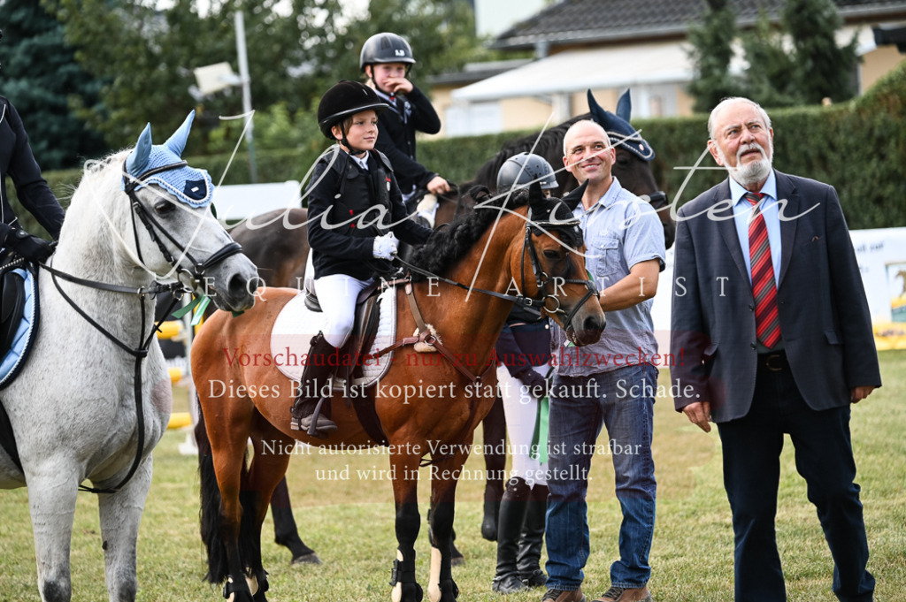 DSC_5782 | Pferde- und Turnierfotografie in Westsachsen. Pferdeportraits, Auftragszeichnungen und intuitive Kunst.