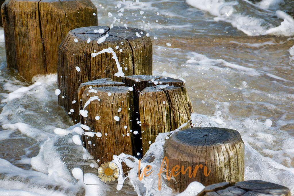 DSC_0373-NEF_DxO_DeepPRIME (1) | Dies ist der Shop von Florian Blum - le fleuri. Langenthal, Bern, Schweiz. Sie können hier meine oder ihre eigenen Fotos als Fotoprodukte kaufen. Tassen, Schlüsselanhänger, Taschen etc. können Sie hier gestalten.  - Realisiert mit Pictrs.com