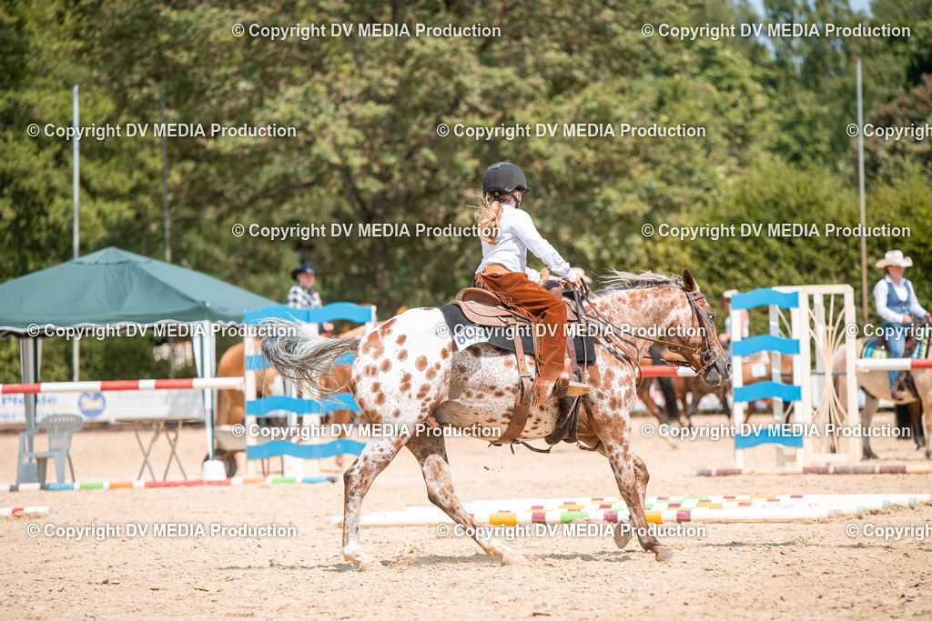 ZS2_8204 | dv-media-shop - Realisiert mit Pictrs.com