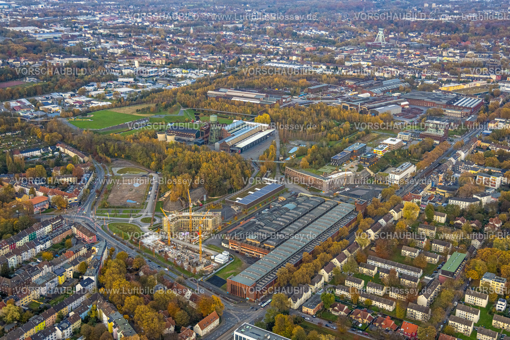 Bochum231102571 | Luftbild, Baustelle mit Neubau TRIUM Bürogebäude Bochum GmbH & Co KG, Wattenscheider Straße mit Kreisverkehr, thyssenkrupp Steel Europe AG Materialwirtschaft Warenlager, Westpark Ansicht mit Industrieanlagen und Jahrhunderthalle Eventlocation, hinten der Förderturm des Bergbaumuseums, Wohngebiet und Ortsansicht Kruppwerke, Bochum, Ruhrgebiet, Nordrhein-Westfalen, Deutschland