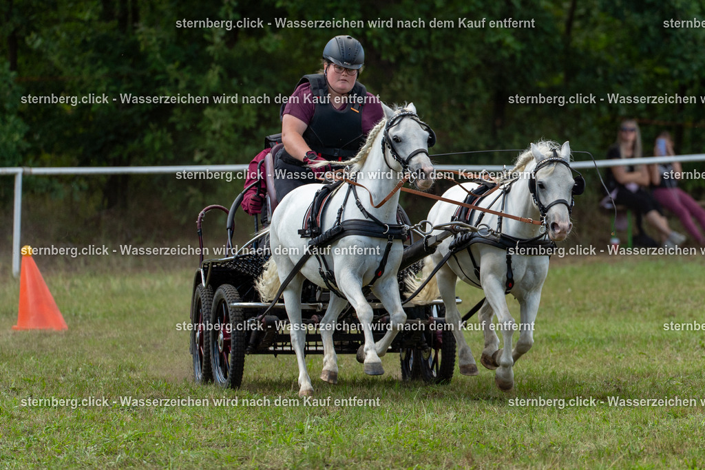 2026-08-29_14-39-42_sternberg.click_WBO-Diera | sternberg.click - Realisiert mit Pictrs.com