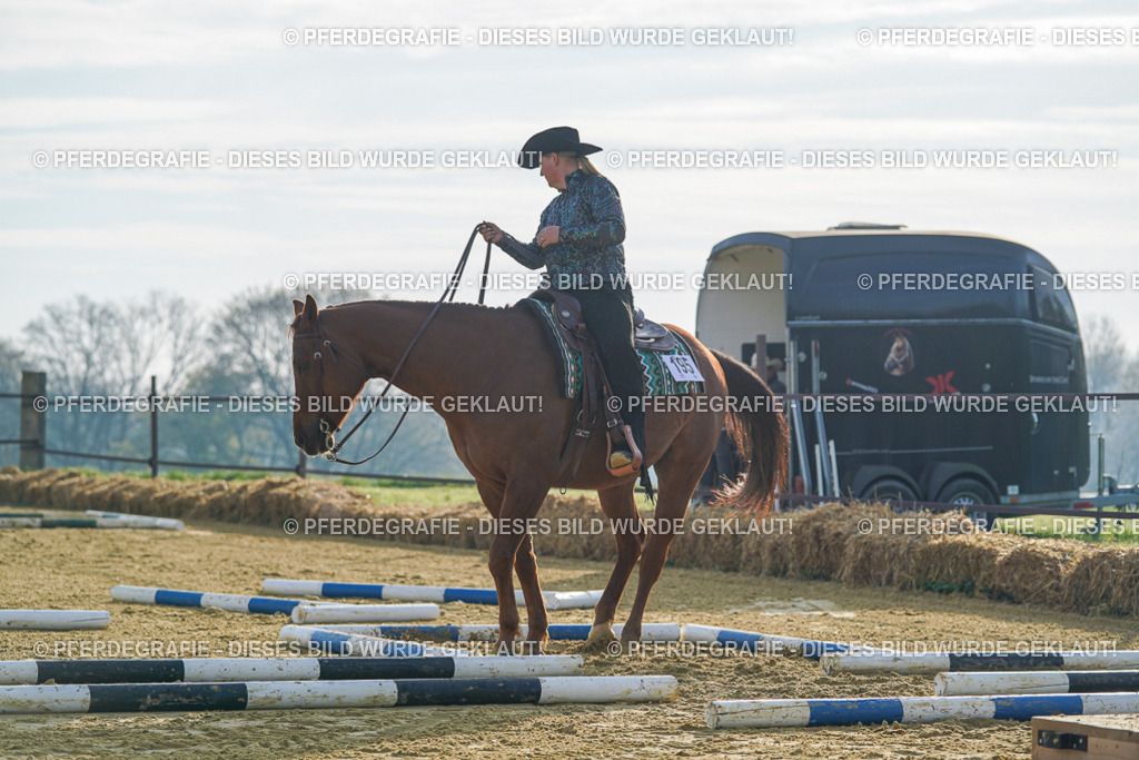 DSC00562 | Pferdegrafie