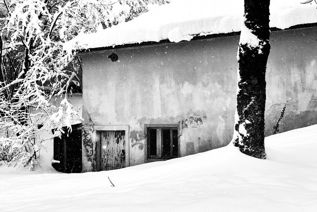 Das alte Atelierhaus 2 | Ich erzähle Geschichten als Autor und als Fotograf. Hier finden Sie hochwertige Naturfotografie, Reisefotografien und Bilder aus dem urbanen Lebensraum.  - Realisiert mit Pictrs.com