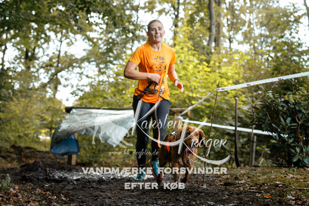 1415DZ6_1308Z6 | kk-dogfotos