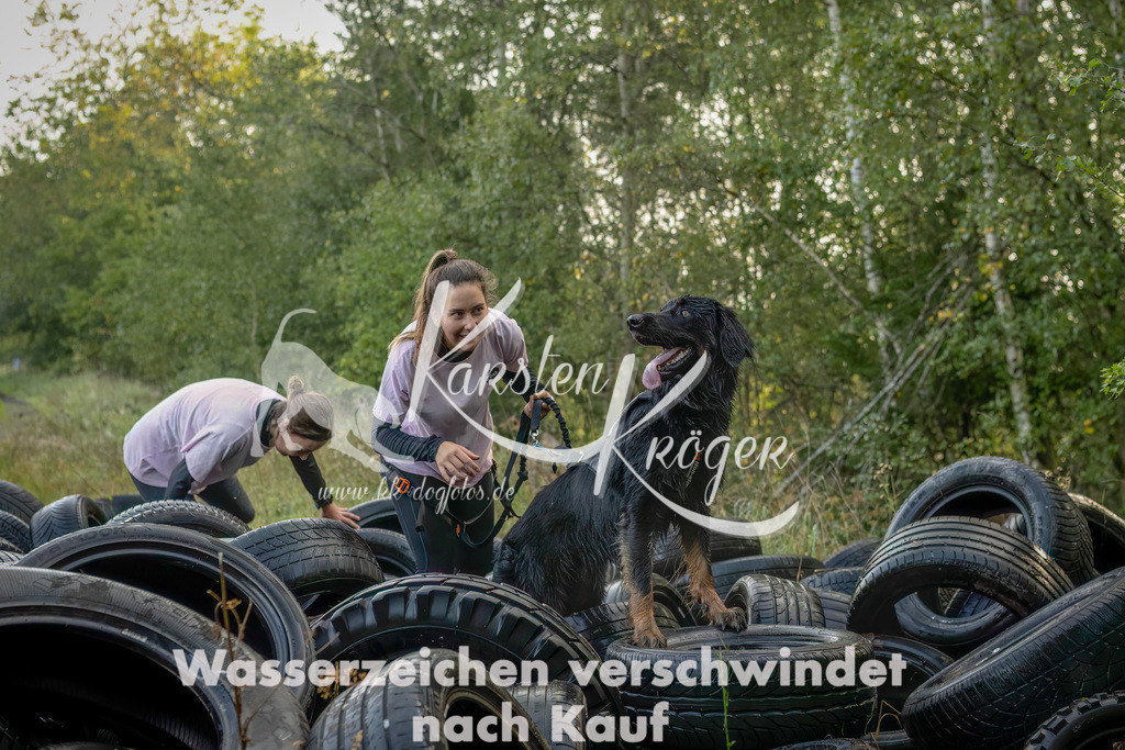 1009_ZZ93719-Bearbeitet | kk-dogfotos
