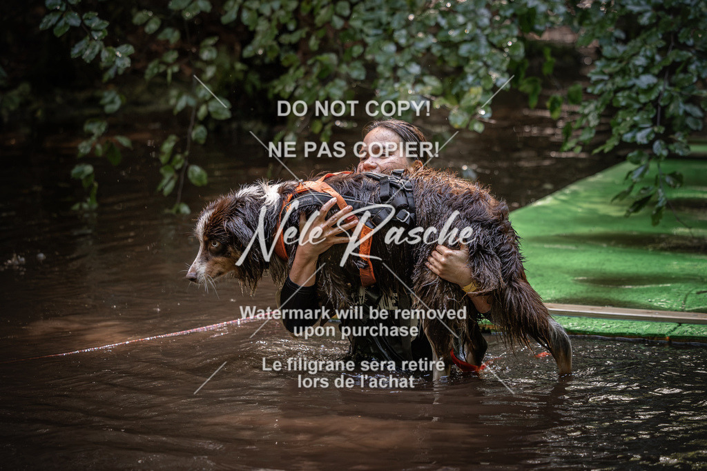 nelerasche_Wingst_Sa1330-1400_229 | nelerasche